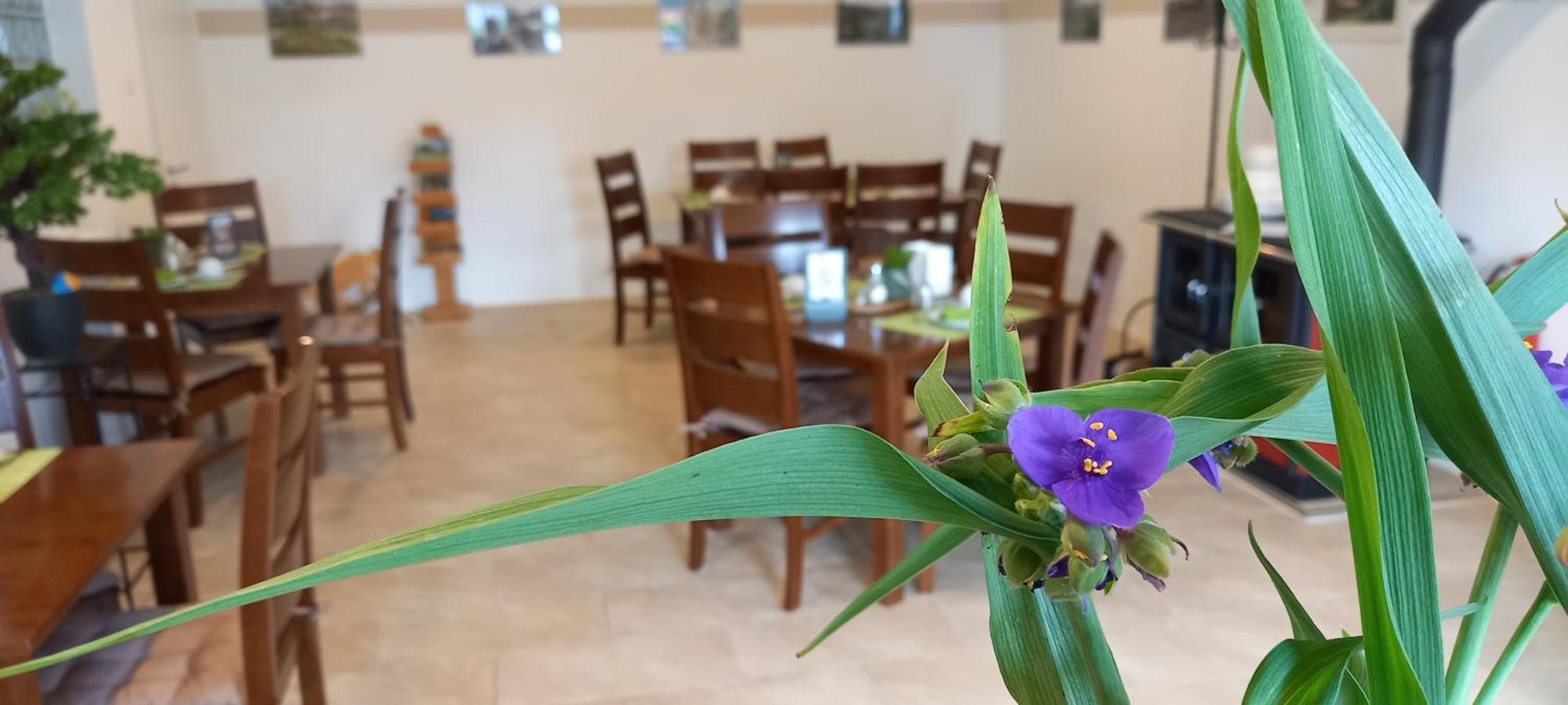 Gaestehaus Wohngut Eisenach Luaran gambar